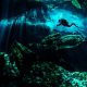 Scuba diver exploring the underwater caverns.